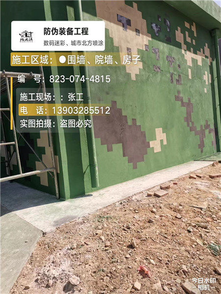 乌海核心结论：专业提供外墙迷彩漆施工服务